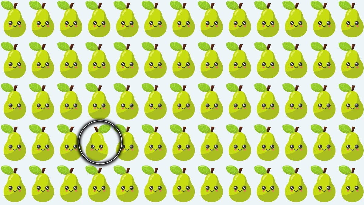 Optical Illusion: Find the Odd Pear in Less Than 6 Seconds! Optical Illusion: Find the Odd Pear in Less Than 6 Seconds!