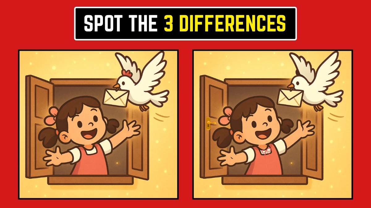Optical Illusion: आप कितनी तेजी से अंतर पहचान सकते हैं? Optical Illusion: आप कितनी तेजी से अंतर पहचान सकते हैं?