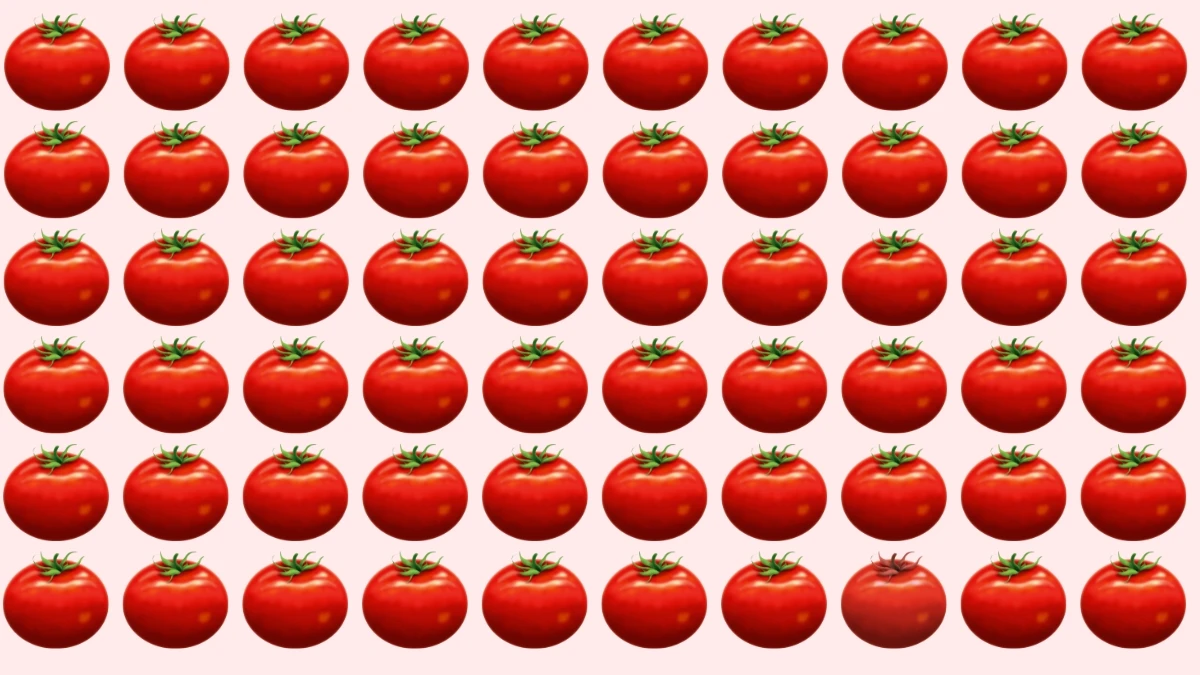 Optical Illusion: How Quickly Can You Spot the Odd Tomato?