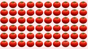Optical Illusion: How Quickly Can You Spot the Odd Tomato? Optical Illusion: How Quickly Can You Spot the Odd Tomato?