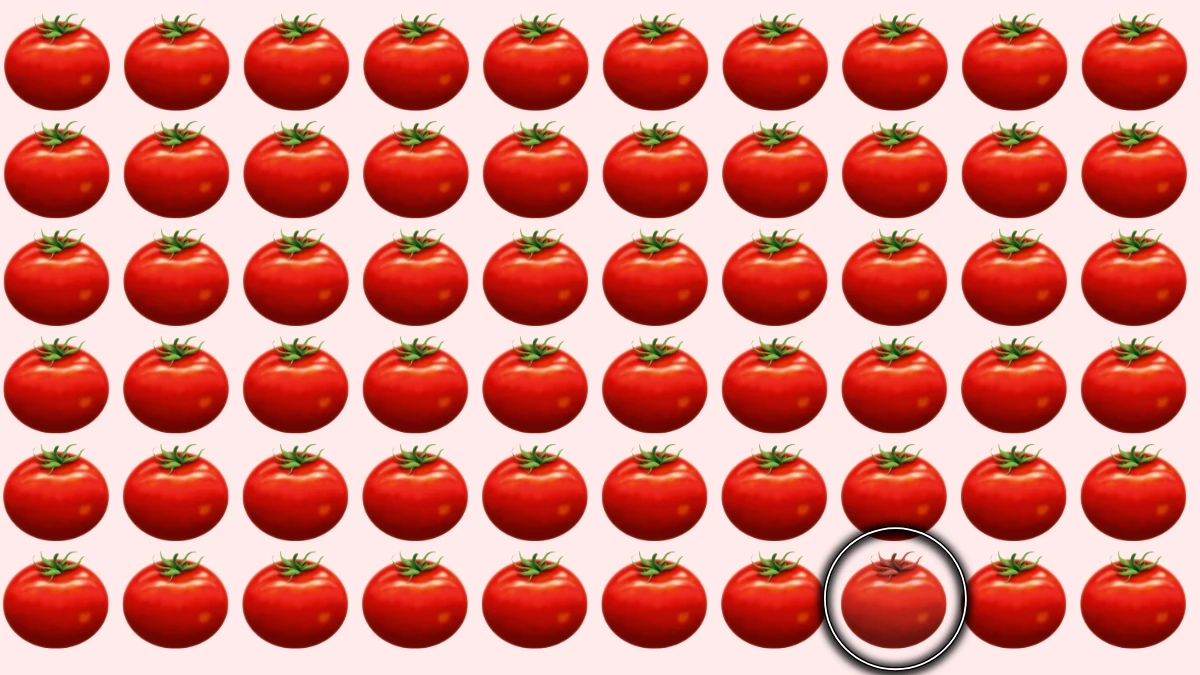 Optical Illusion image