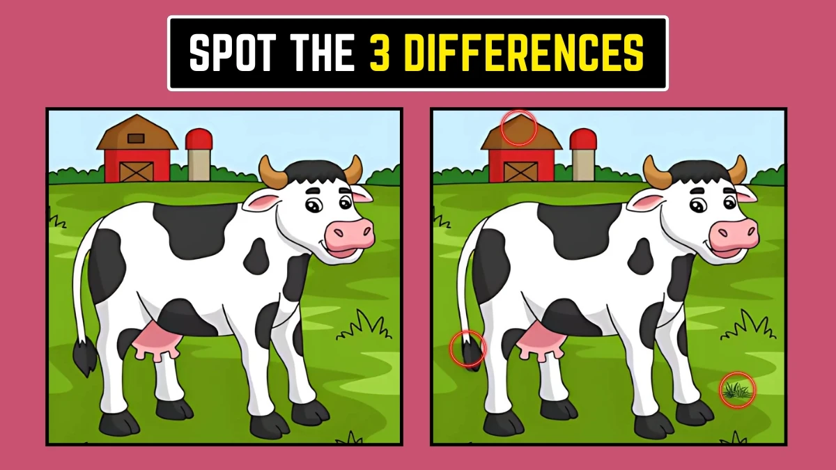 Optical Illusion: केवल तेज़ आँखें ही 3 अंतर देख सकती हैं Optical Illusion: केवल तेज़ आँखें ही 3 अंतर देख सकती हैं