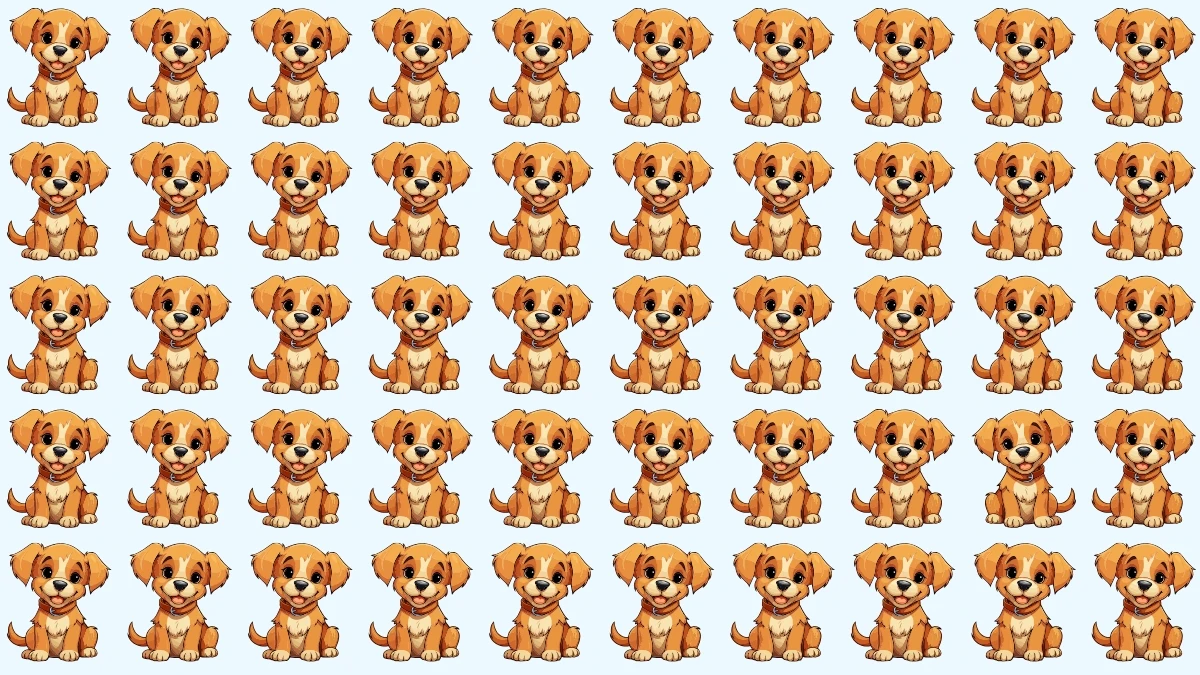 Optical Illusion: Test Your Observation Skills with the Odd Dog