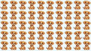Optical Illusion: Test Your Observation Skills with the Odd Dog Optical Illusion: Test Your Observation Skills with the Odd Dog