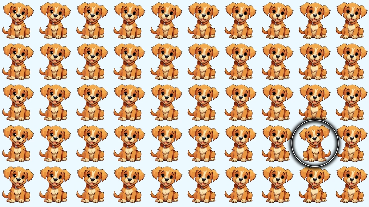 Optical Illusion: Test Your Observation Skills with the Odd Dog
