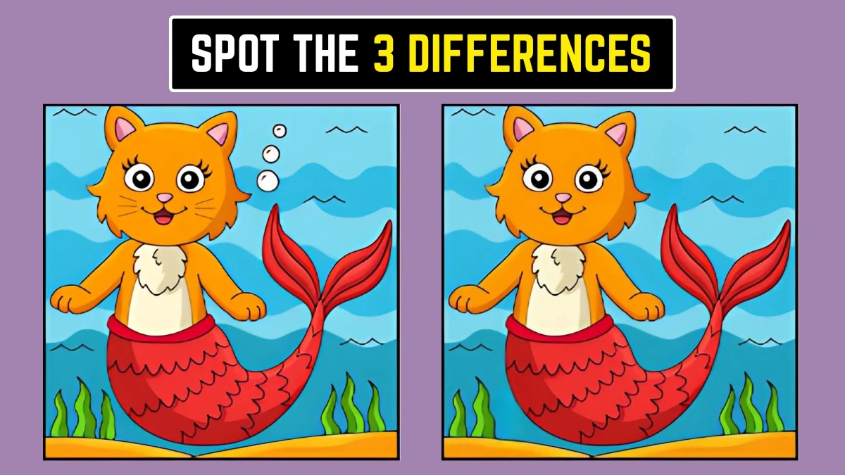 Optical Illusion: Test Your Vision with These 3 Differences!