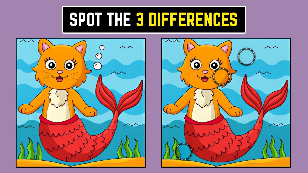 Optical Illusion: Test Your Vision with These 3 Differences!