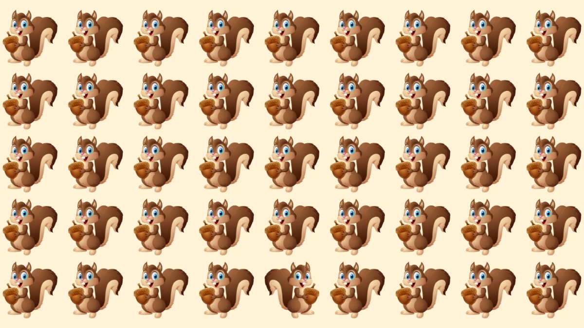 Brain Teaser: Can You Find the Odd Squirrel in 7 Seconds?