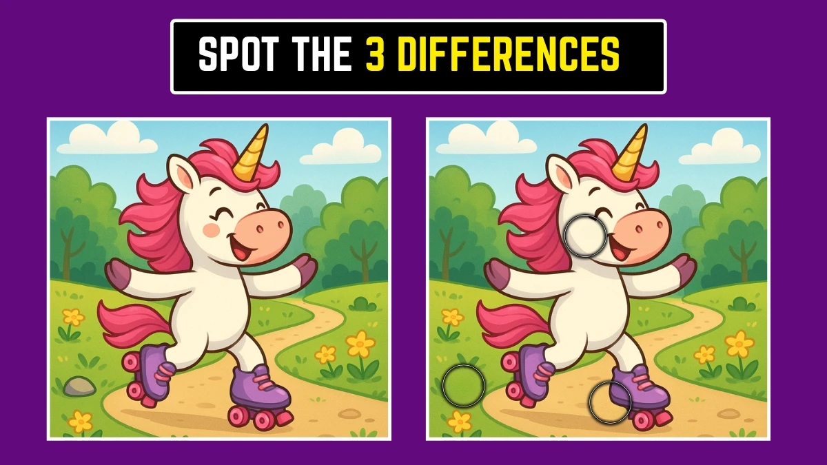 Brain Teaser: Can You Spot the 3 Hidden Differences? Brain Teaser: Can You Spot the 3 Hidden Differences?
