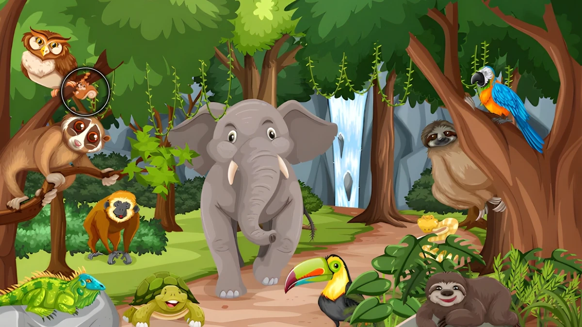 Brain Teaser: Can You Spot the Hidden Squirrel in 5 Seconds? Brain Teaser: Can You Spot the Hidden Squirrel in 5 Seconds?