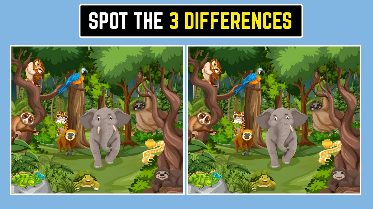 Brain Teaser: Only a Sharp Eye Will Find All 3 Differences!