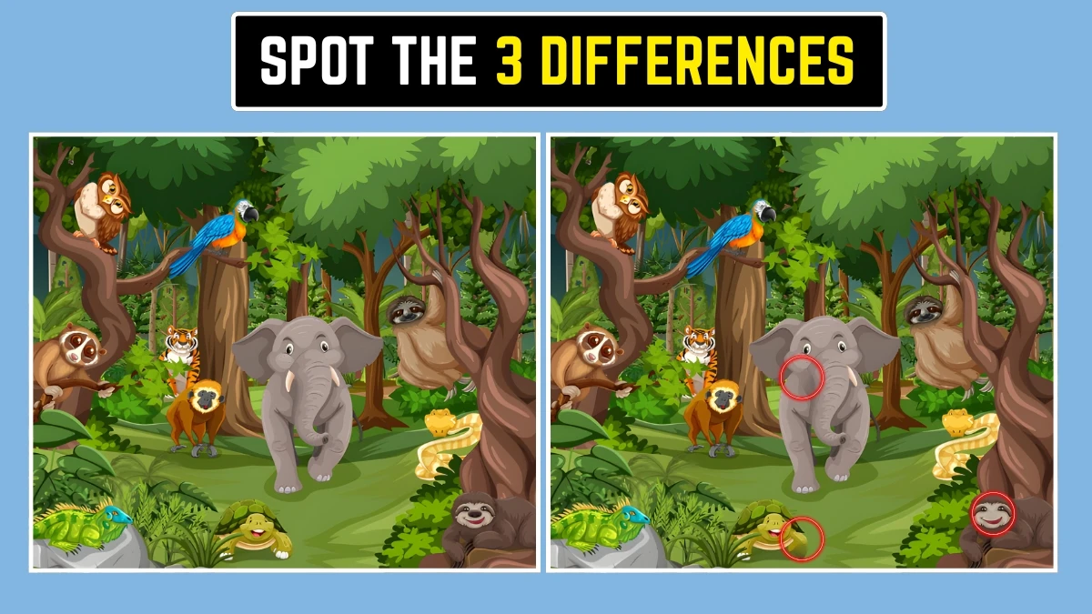 Brain Teaser: Only a Sharp Eye Will Find All 3 Differences! Brain Teaser image