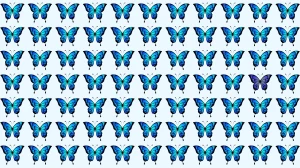 Brain Teaser: Spot the Hidden Butterfly in 5 Seconds!
