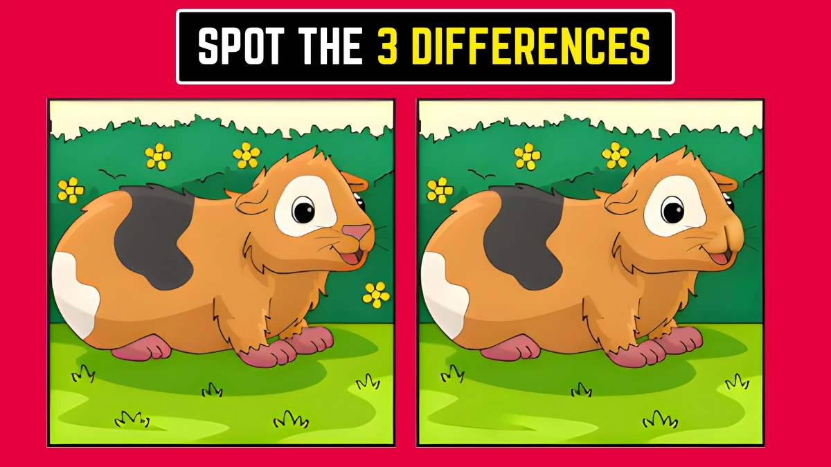 Optical Illusion: Can You Find the 3 Differences in Just 6 Seconds? Optical Illusion: Can You Find the 3 Differences in Just 6 Seconds?