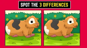 Optical Illusion: Can You Find the 3 Differences in Just 6 Seconds?