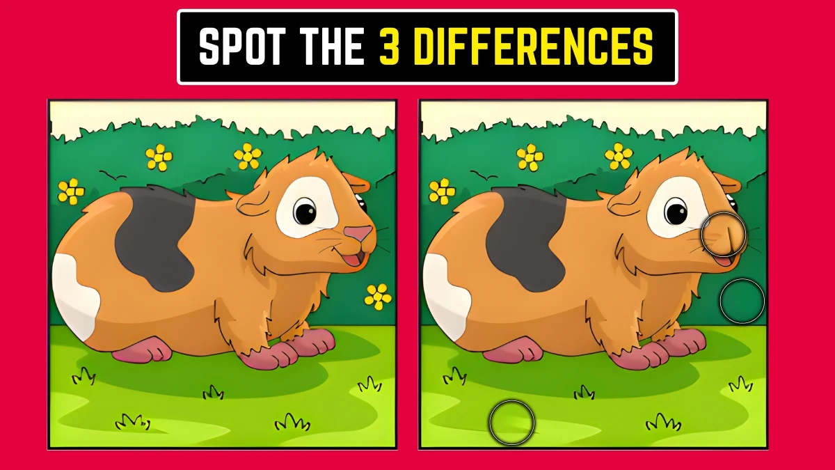 Optical Illusion: Can You Find the 3 Differences in Just 6 Seconds? Optical Illusion image