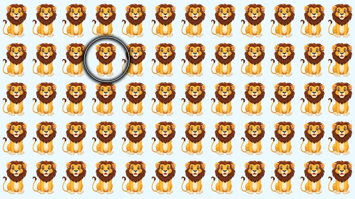 Optical Illusion: Can Your Eyes Catch the Odd Lion in 6 Seconds? Optical Illusion: Can Your Eyes Catch the Odd Lion in 6 Seconds?