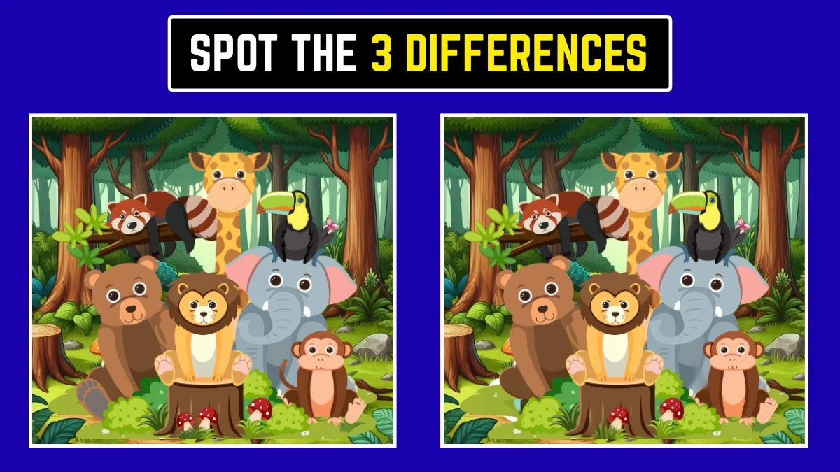 Optical Illusion: Challenge Yourself to Spot the 3 Differences in 6 Seconds