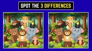 Optical Illusion: Challenge Yourself to Spot the 3 Differences in 6 Seconds Optical Illusion: Challenge Yourself to Spot the 3 Differences in 6 Seconds