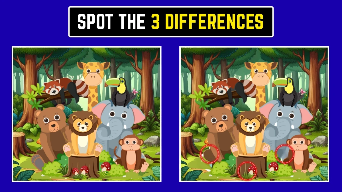 Optical Illusion image