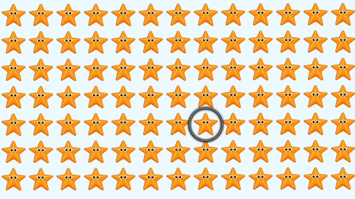 Optical Illusion: Only 1% Can Find the Odd Starfish in 7 Seconds! Optical Illusion: Only 1% Can Find the Odd Starfish in 7 Seconds!