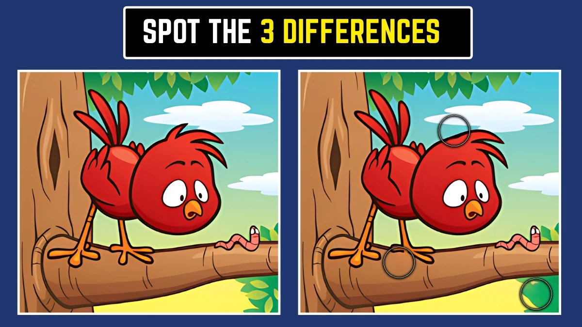 Optical Illusion: Spot 3 Hidden Differences Before Time Runs Out! Optical Illusion: Spot 3 Hidden Differences Before Time Runs Out!