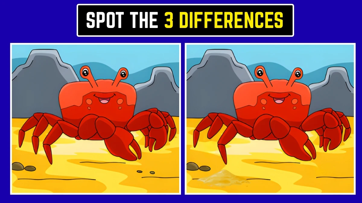 Optical Illusion: Spot the 3 Hidden Differences in 6 Seconds! Optical Illusion: Spot the 3 Hidden Differences in 6 Seconds!
