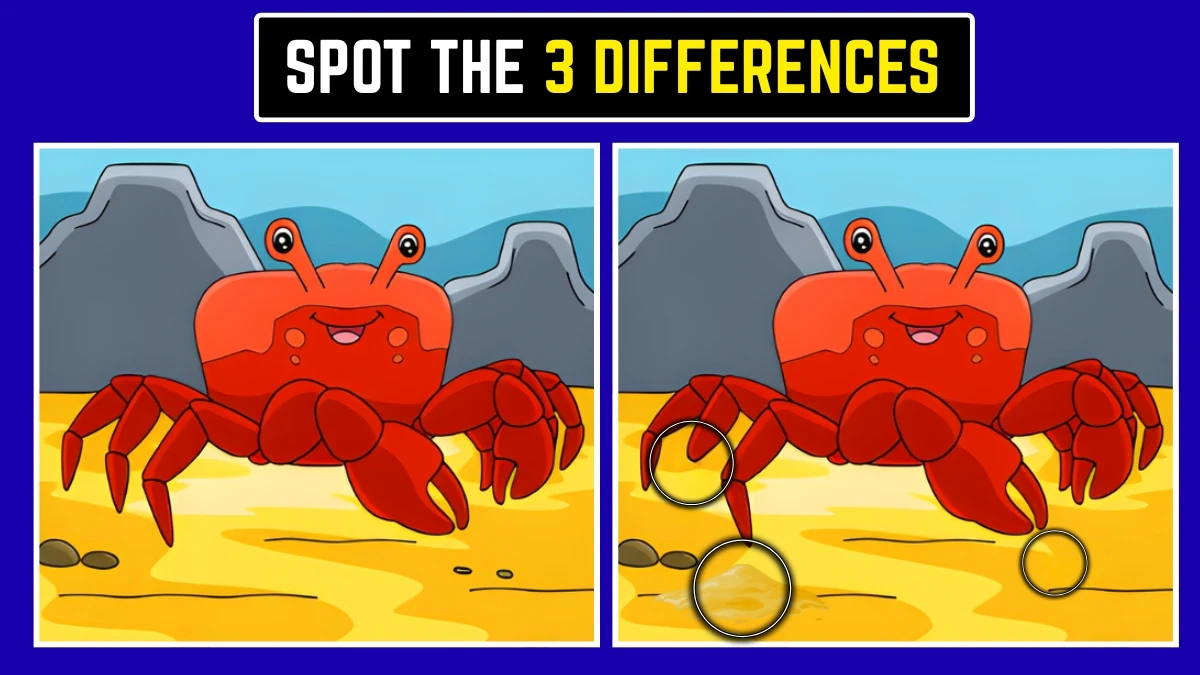 Optical Illusion image