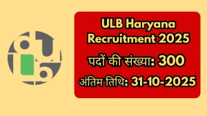 ULB Haryana Engineering Associates Recruitment 2025 - 300 Posts, Online Form Out at ulbharyana.gov.in