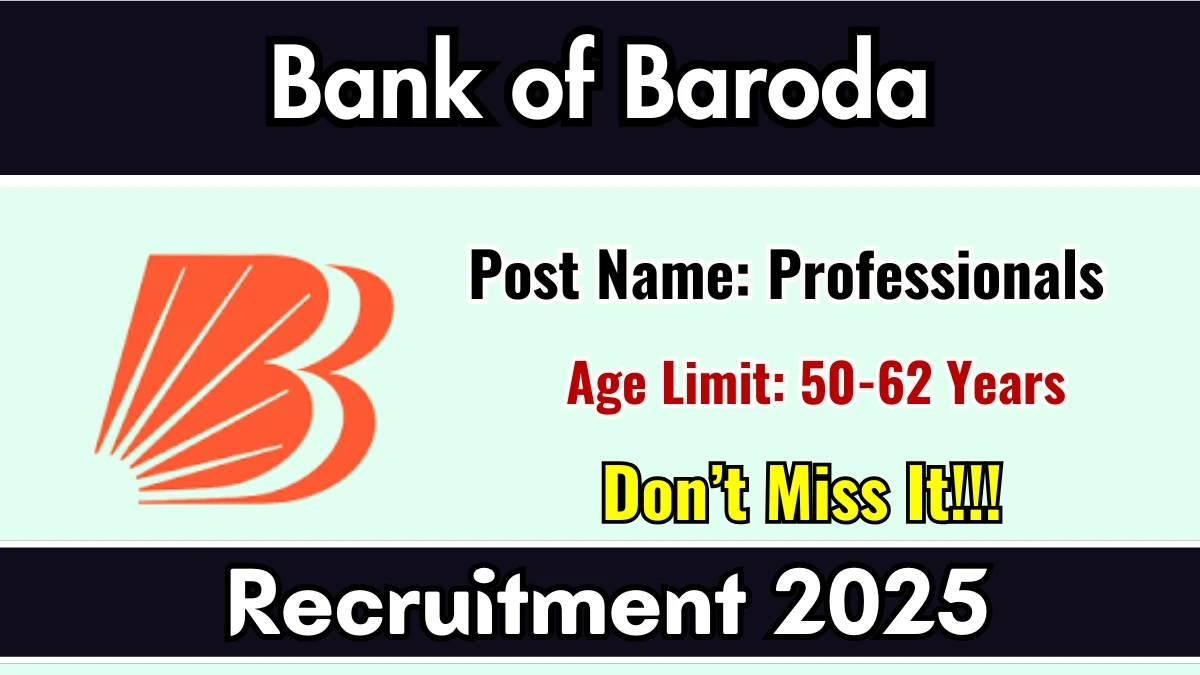 Bank of Baroda Professionals Recruitment 2025 Out - Apply Online 12 Posts