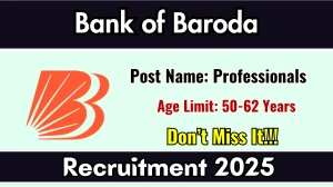 Bank of Baroda Professionals Recruitment 2025 Out - Apply Online 12 Posts