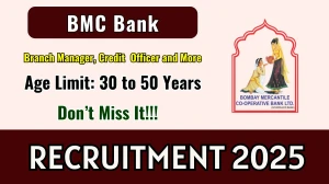 BMC Bank Branch Manager, Credit Officer and More Recruitment 2025 Notification P...