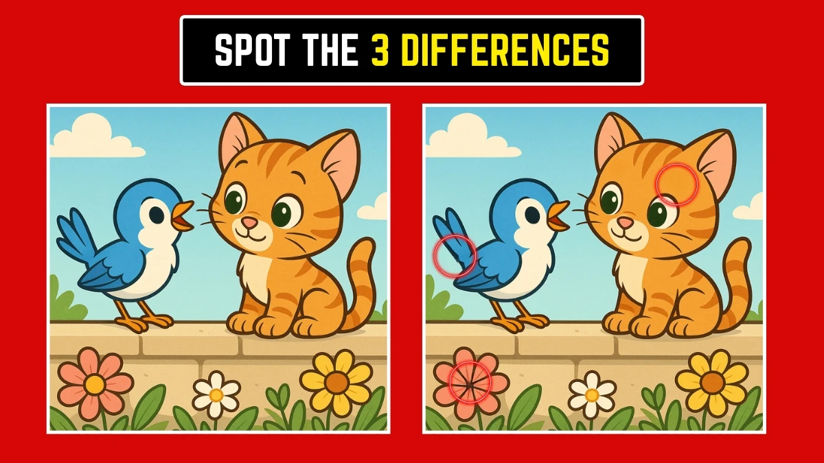 Brain Teaser: Can You Find the 3 Hidden Differences in 8 Seconds? Brain Teaser: Can You Find the 3 Hidden Differences in 8 Seconds?