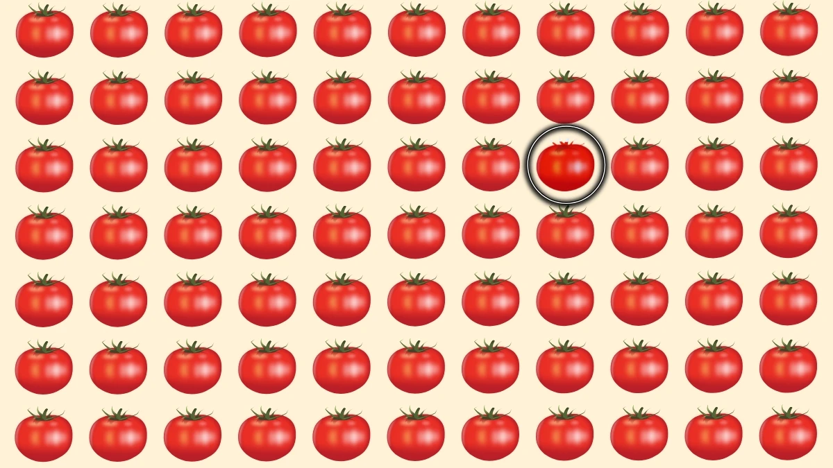 Brain Teaser: Can You Find the Different Tomato Fast?