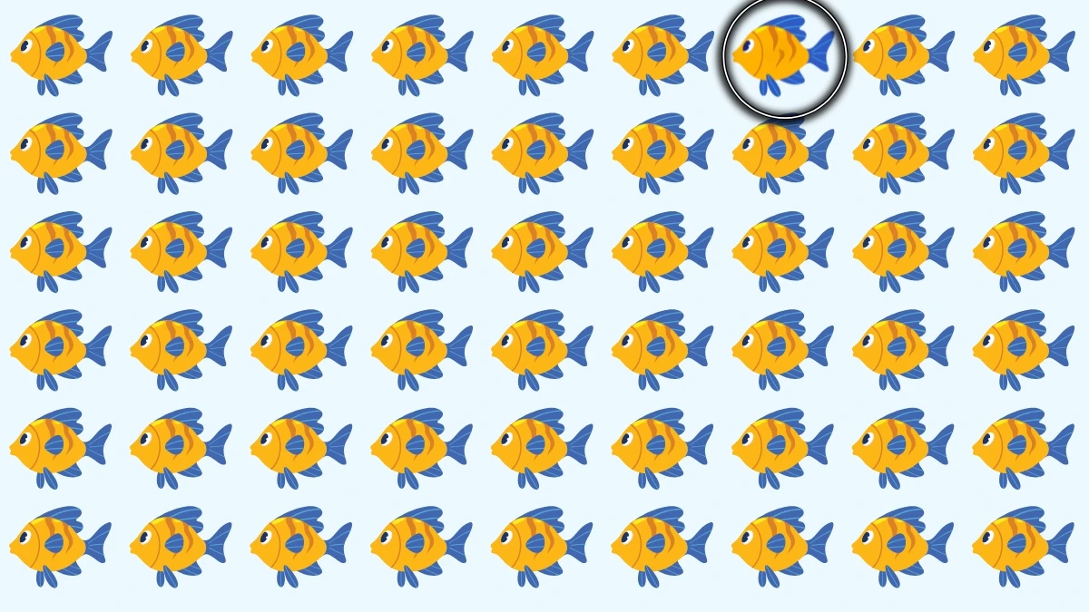 Brain Teaser: Can You Find the Odd Fish Out in 6 Seconds?