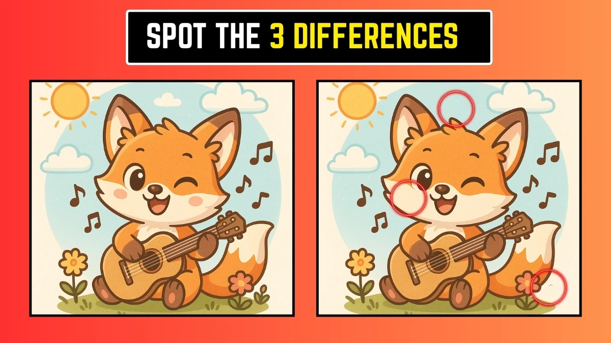 Brain Teaser: Can You Spot the 3 Differences Fast?