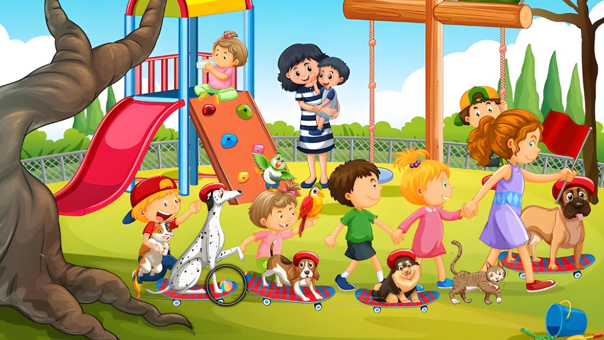 Brain Teaser: Can You Spot the Hidden Ball in 6 Seconds? Brain Teaser: Can You Spot the Hidden Ball in 6 Seconds?