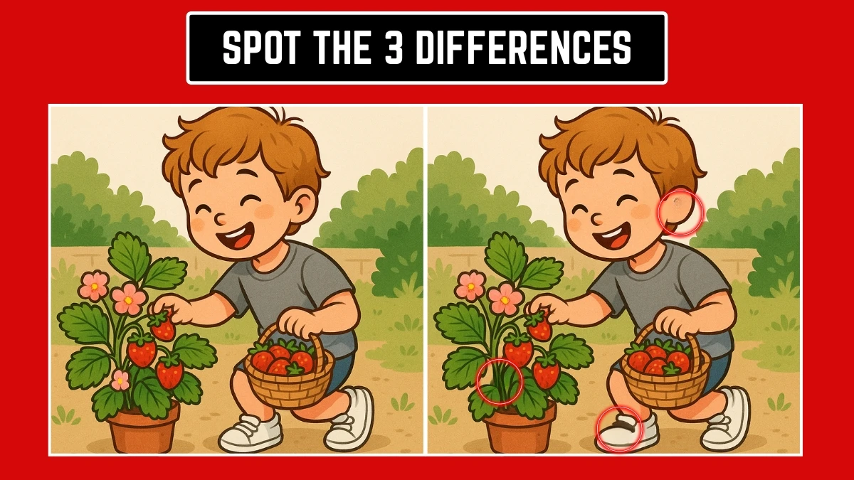 Brain Teaser: How Fast Can You Identify 3 Differences in 8 Seconds? Brain Teaser: How Fast Can You Identify 3 Differences in 8 Seconds?
