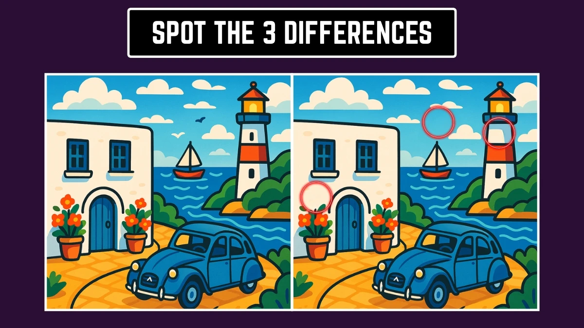 Brain Teaser: How Quickly Can You Spot the 3 Differences in 7 Seconds? Brain Teaser: How Quickly Can You Spot the 3 Differences in 7 Seconds?