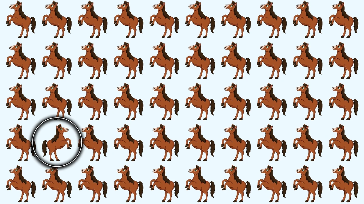 Brain Teaser: Only 1 in 10 People Spot the Odd Horse in 6 Seconds!