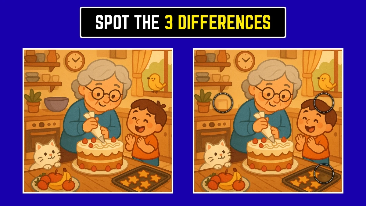 Brain Teaser: Spot the 3 Hidden Differences in Under 8 Seconds
