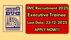 DVC Executive Trainee Recruitment 2025 Notification PDF Out - Apply Online 54 Po...