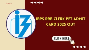 IBPS RRB Clerk PET Admit Card 2025 Out: Download Link, Training Dates & Complete...