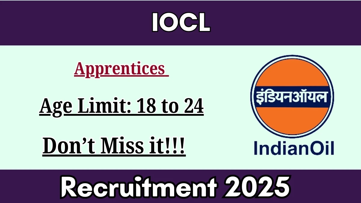 Sarkari Naukri image