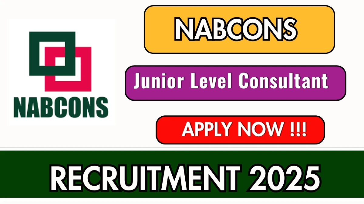 NABCONS Junior Level Consultant Recruitment 2025 Notification PDF Out - Apply Online 03 Posts
