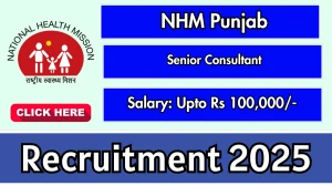 NHM Punjab Senior Consultant Recruitment 2025 Notification PDF Out - Walk in for...