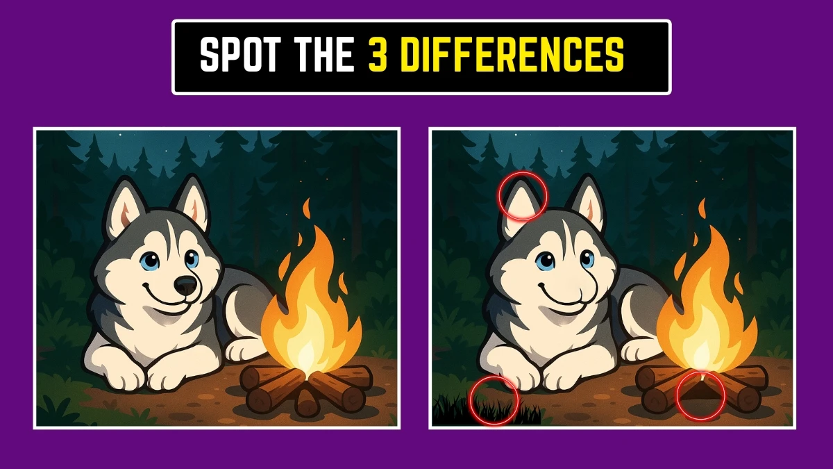 Optical Illusion: Can You Find the 3 Differences in 7 Seconds?