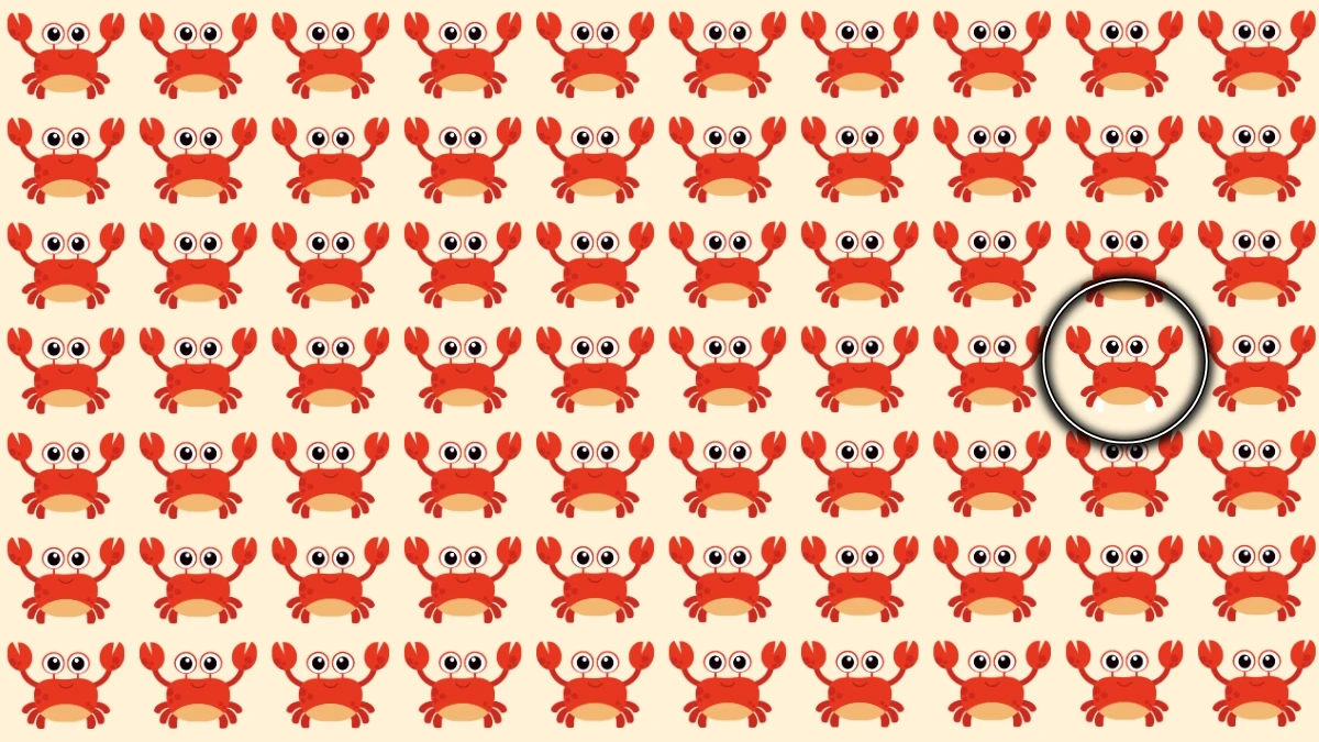 Optical Illusion: Can You Find the Odd Crab in 7 Seconds?