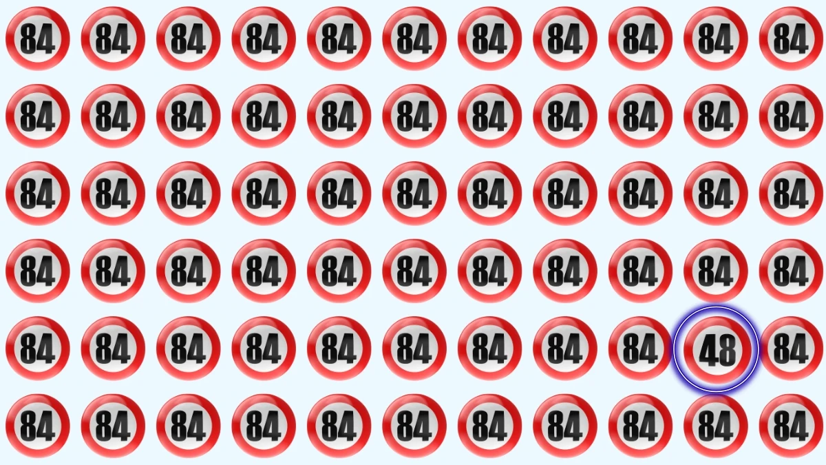 Optical Illusion: Can You Identify the Number 48 Before Time Runs Out?