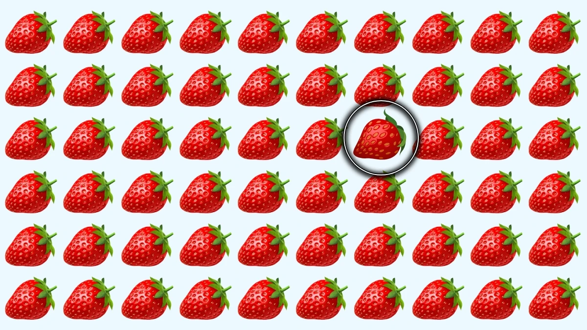 Optical Illusion: Can You Identify the Odd Strawberry in Just 6 Seconds? Optical Illusion: Can You Identify the Odd Strawberry in Just 6 Seconds?
